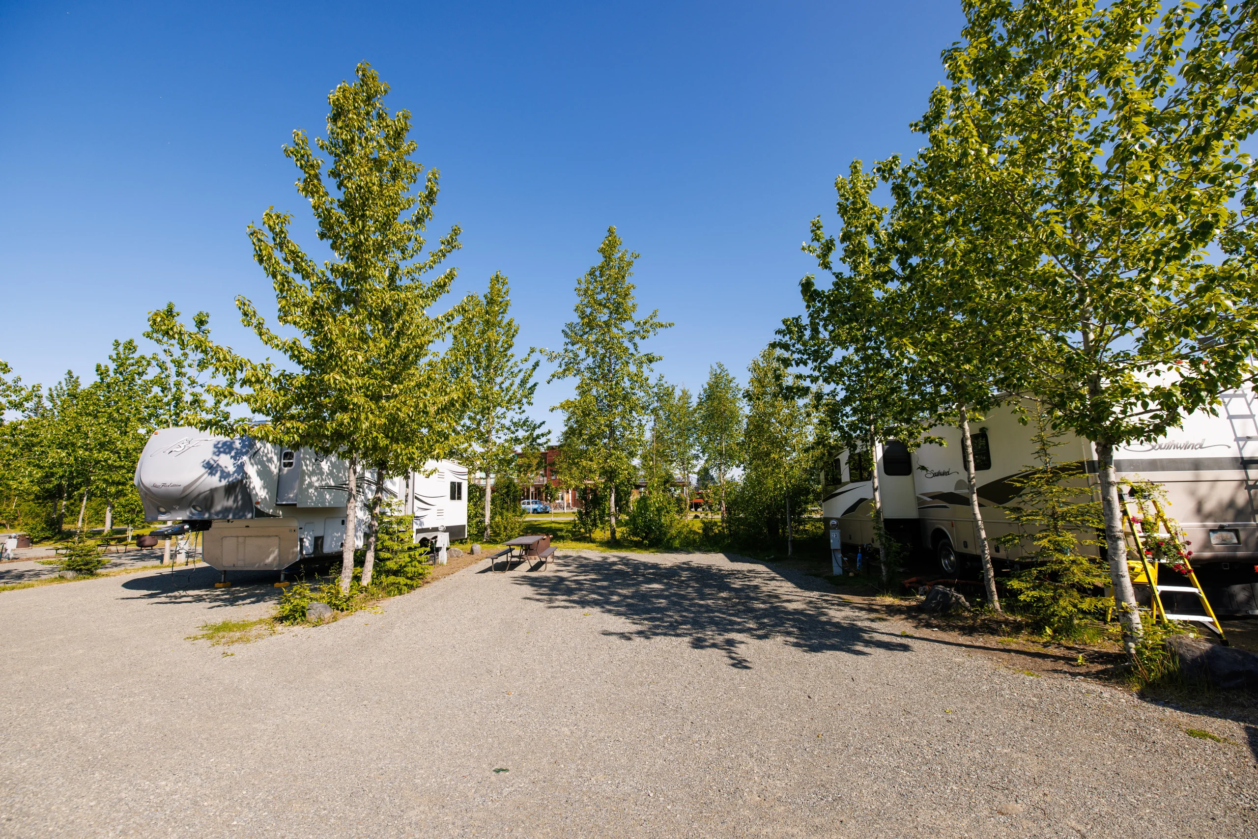 Diamond M Ranch Resort RV sites nestled among trees under bright Alaskan summer sky