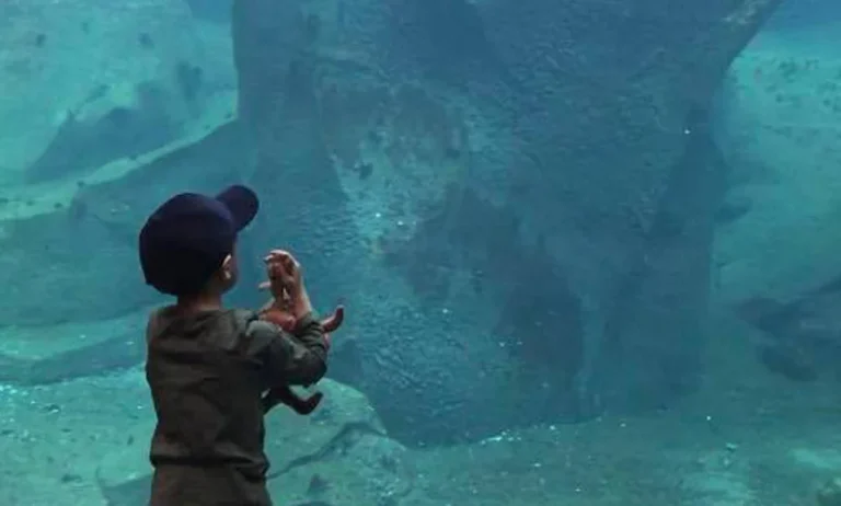 Alaska Sea Life Center at Diamond M Ranch Resort