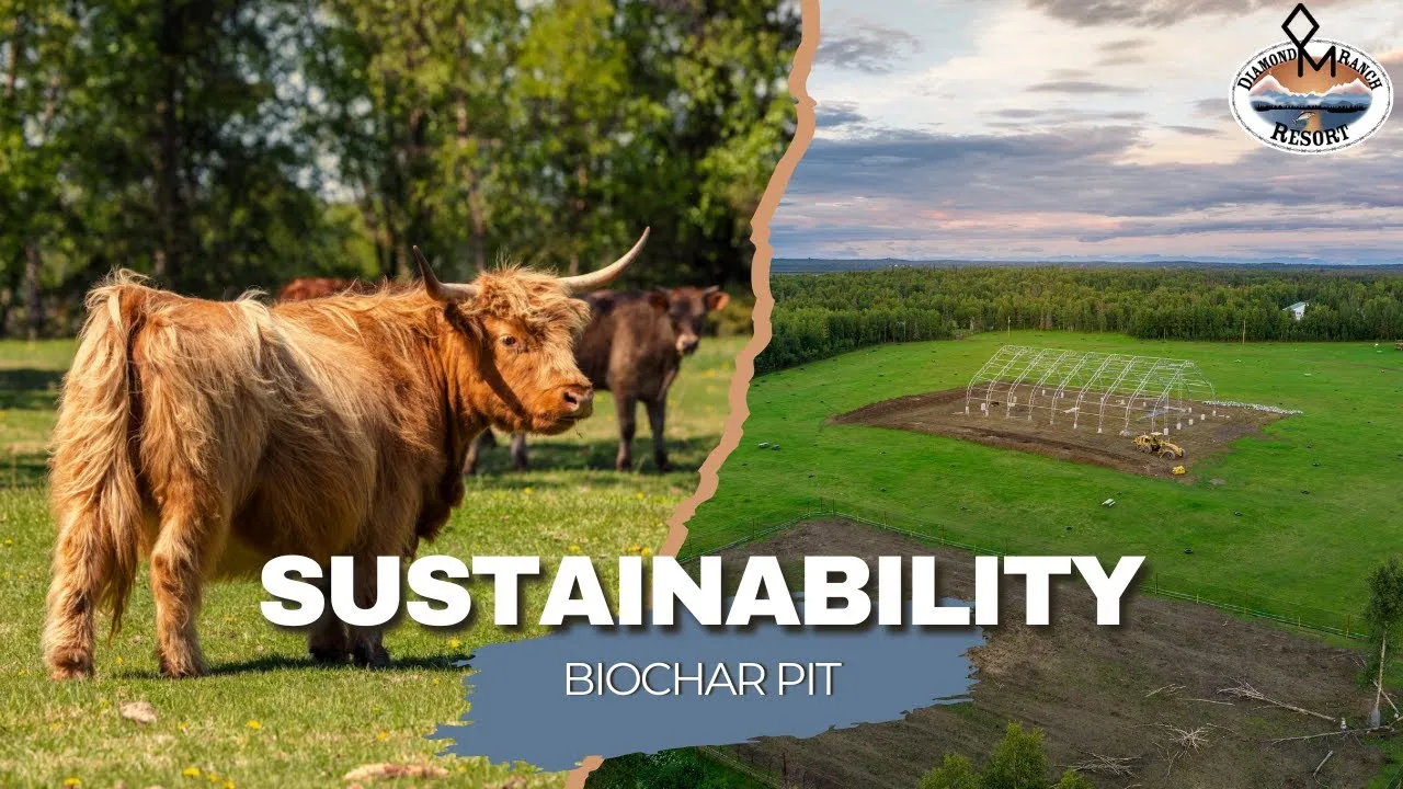 Sustainability at Diamond M Ranch Resort